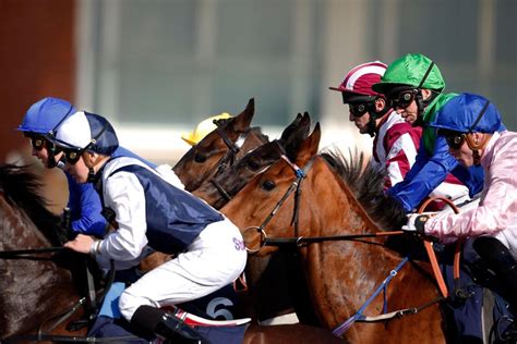 racing results at lingfield today|results for lingfield today.